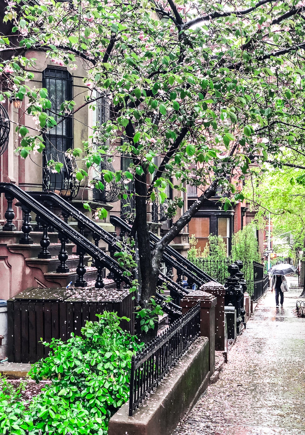 Hello Au Printemps A New York Spring Is Here Hello Au Printemps A New York Spring Is Here